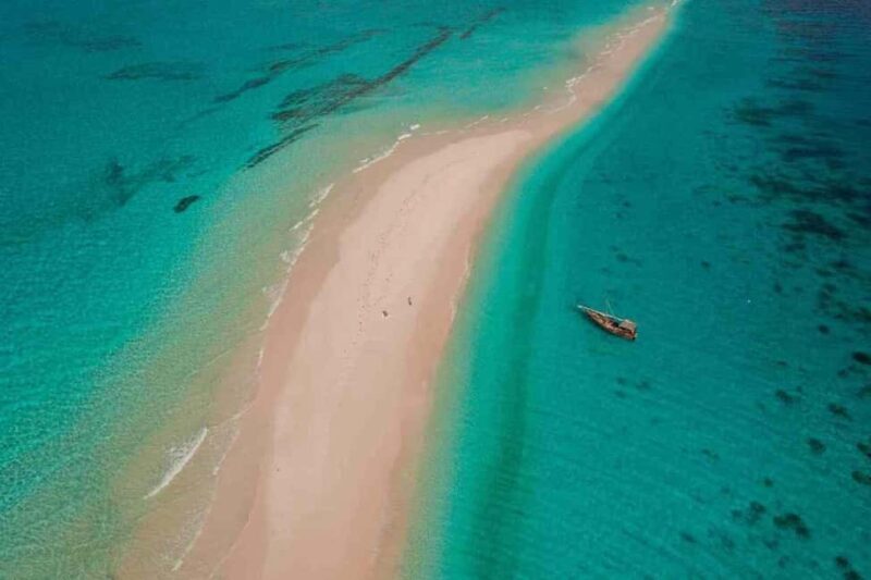 Jozani Forest and Nakupenda SandBank with fruits - An In-Depth Look at the Tour Experience