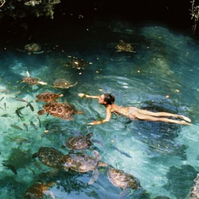Jozani Forest and Salaam cave - Who Will Love This Tour?