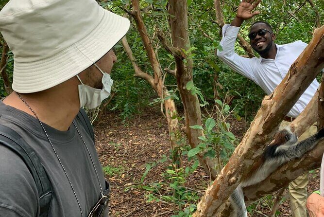 Jozani Forest - An In-Depth Look at Jozani Forest Tour