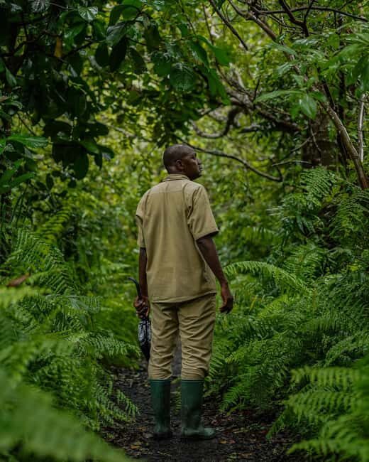 Jozani forest , Kuza cave and mtende beach - Kuza Cave: A Sacred Limestone Wonder