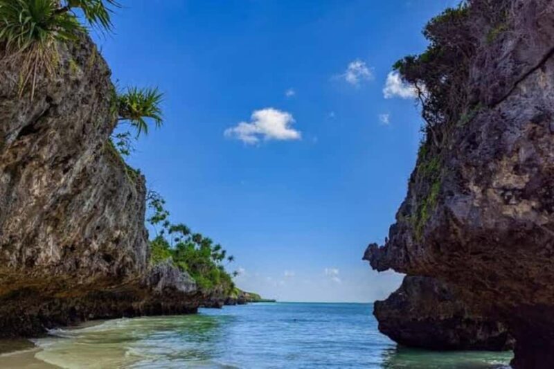 Jozani Forest, Kuza Cave, Mtende Beach & The Rock Restaurant - Final Thoughts