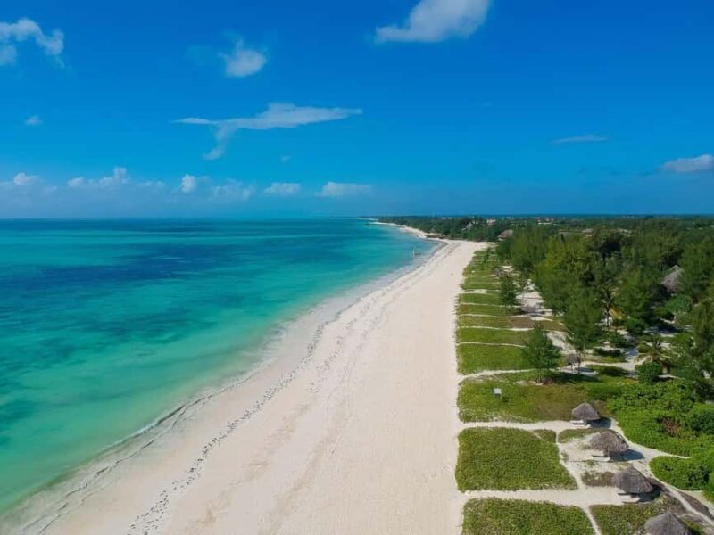 Jozani Forest & Paje Beach Trip with The Rock Restaurant - Key Points