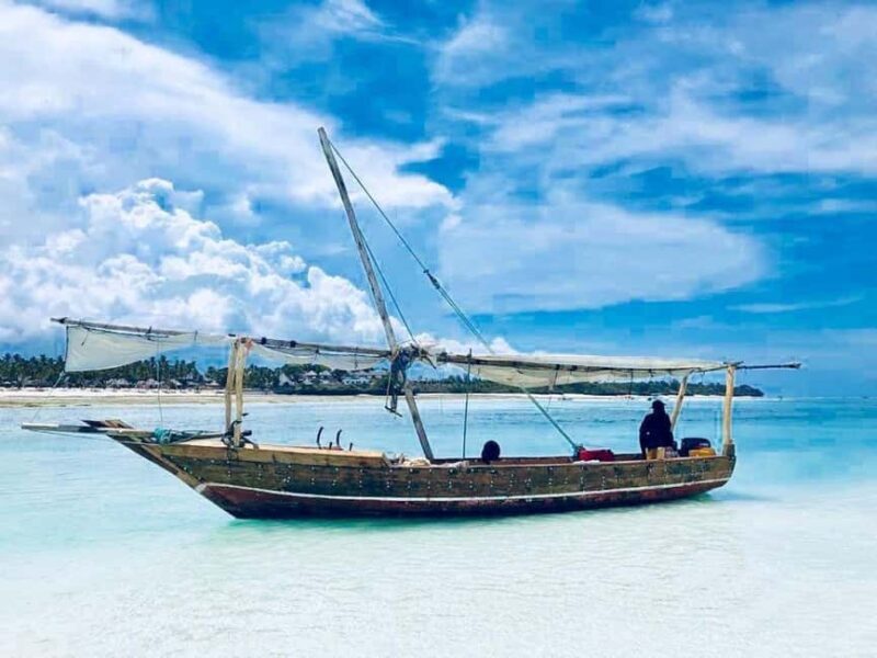 Jozani Forest & Paje Beach Trip with The Rock Restaurant - Exploring Zanzibar’s Natural Wonders and Iconic Sights