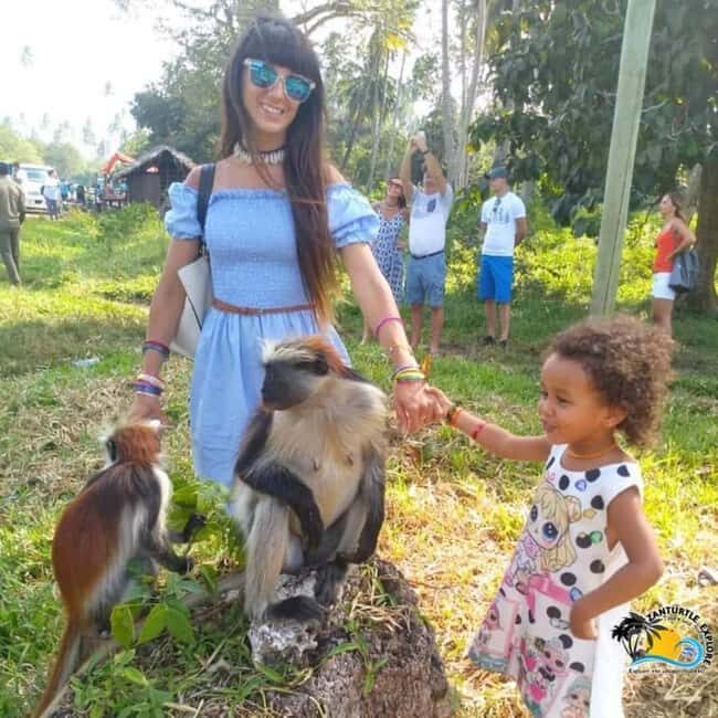 JOZANI FOREST , SEA TORTOISE SANCTUARY & THE ROCK RESTAURANT - An In-Depth Look at the Tour Experience