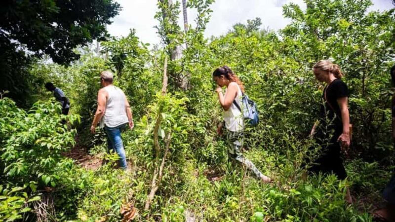 Jozani forest, spice farm and stone town with night market. - Final Thoughts