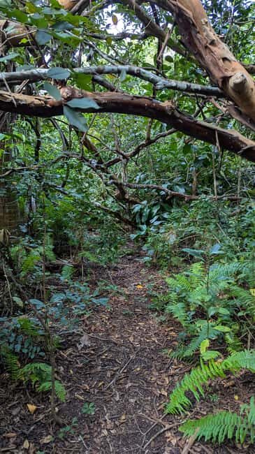 Jozani Forest, The Rock,Spice farm with lunch & Stone Town. - The Practical Side: What to Expect