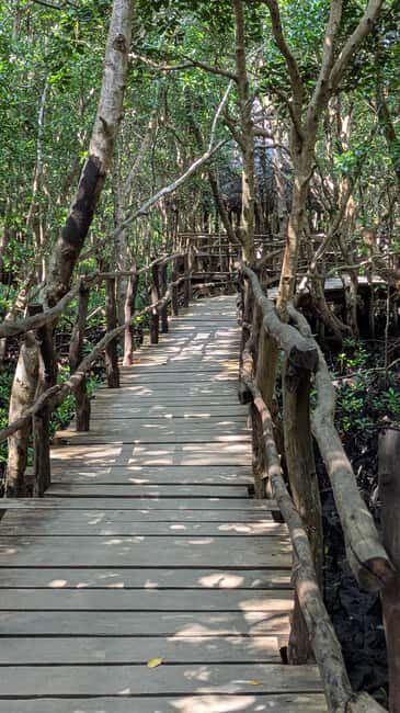 Jozani Forest, The Rock,Spice farm with lunch & Stone Town. - Who Is This Tour Best For?