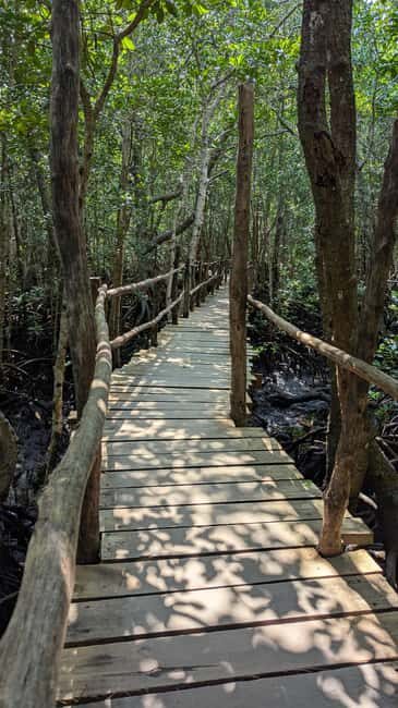 Jozani Forest, The Rock,Spice farm with lunch & Stone Town. - Final Thoughts