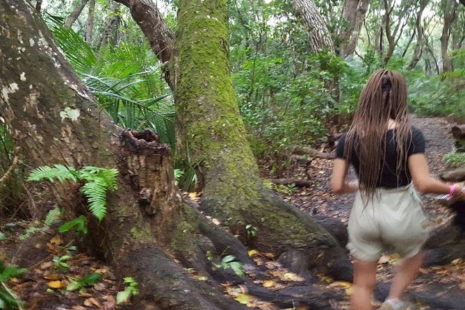 Jozani Forest Tour - A Personal Look at the Jozani Forest Experience