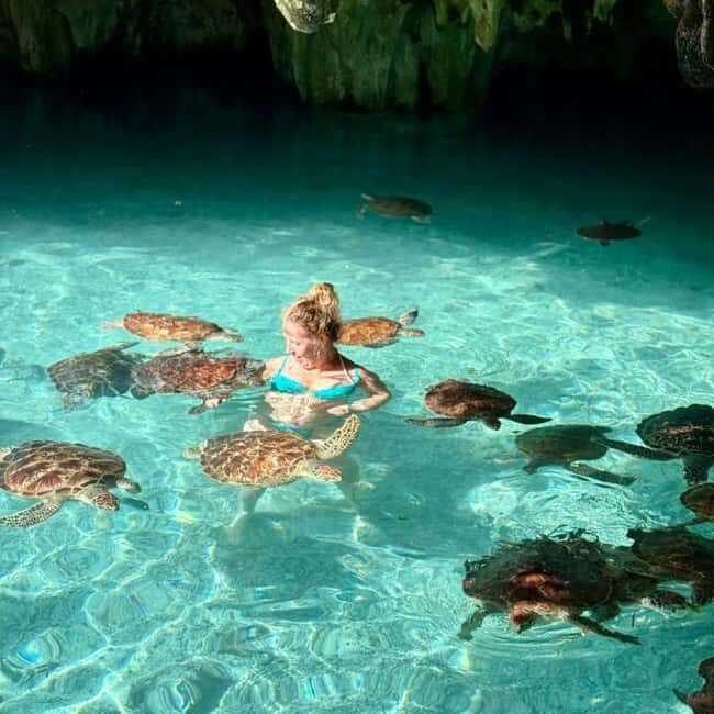 Jozani Forest & Turquoise Waters Turtle Swim at Salaam Cave - Key Points