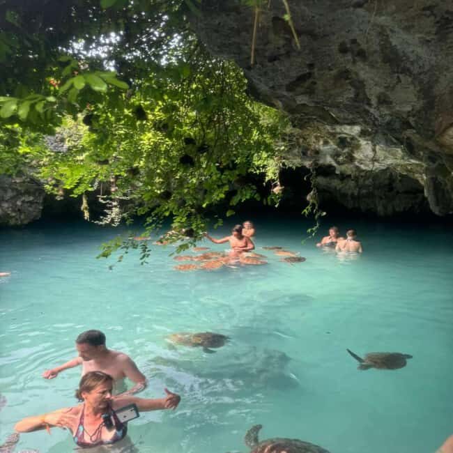 Jozani Forest & Turquoise Waters Turtle Swim at Salaam Cave - Exploring Zanzibar’s Natural Wonders