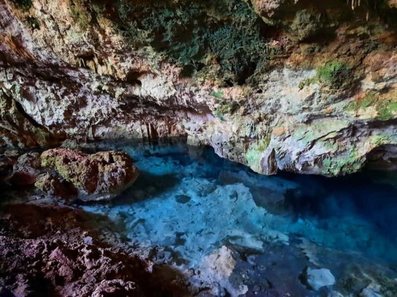 Jozani Forest with Lunch Break, Kuza Cave Tour, The Rock - FAQ