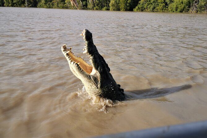 Jumping Croc Cruise, Berry Springs, Fogg Dam & Humpty Doo Pub - FAQ