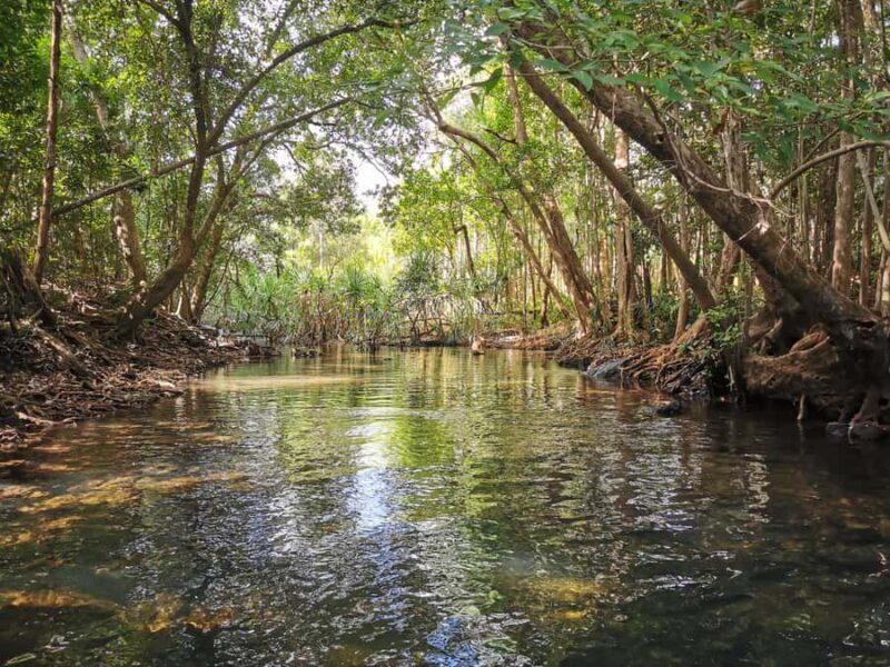 Jumping Croc Cruise, Berry Springs,Fogg Dam & Humpty Doo Pub - Who Is This Tour Best For?