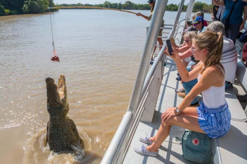 Jumping Crocodile Cruise from Darwin Half-Day Scenic Trip - Final Thoughts: Who Should Consider This Tour?
