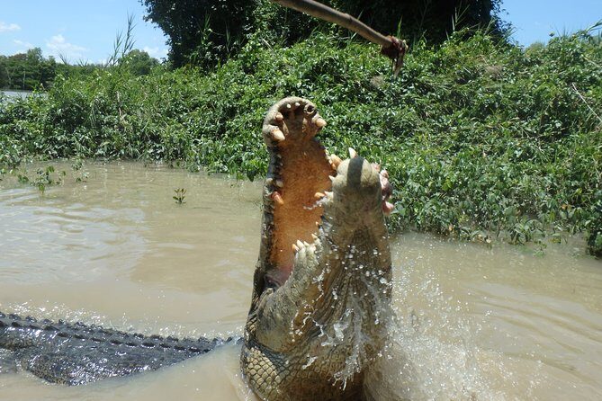 Jumping Crocodile Cruise with lunch - Pricing and Value