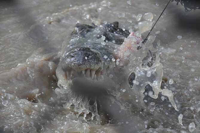 Jumping Crocodile Cruise with lunch - FAQs
