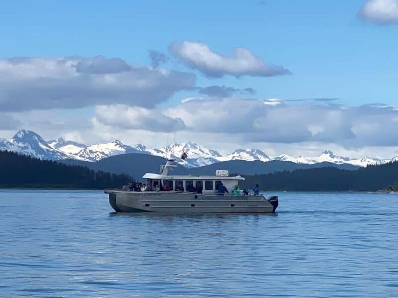 Juneau: 3.5-Hour Small Group Whale Watching Tour - FAQ