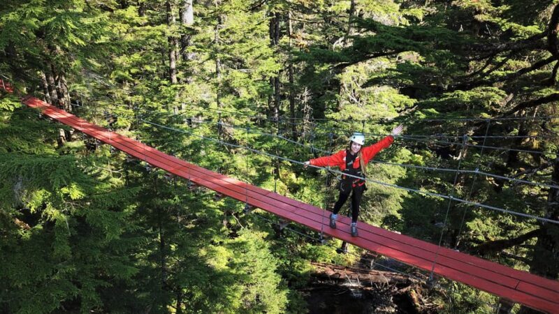 Juneau: Alpine Zipline Adventure - A Closer Look at the Juneau Alpine Zipline Adventure