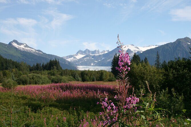 Juneau City Tour - What to Expect from the Juneau City Tour