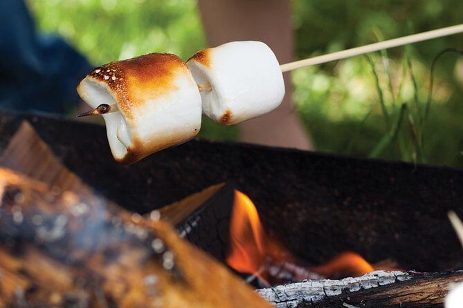 Juneau Gold Creek Salmon Bake - Gold Panning and Other Activities