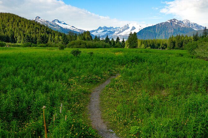 Juneau Highlights and Mendenhall Glacier Tour - FAQs