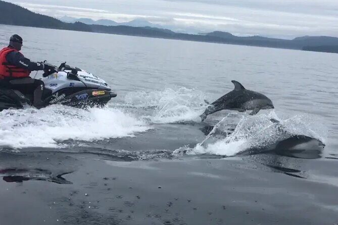 Juneau Jetski & Whale Adventure - FAQ - Common Questions