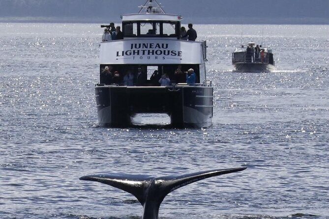 Juneau Lighthouse Tours - Whale watching & Lighthouse Combo - A Closer Look at the Tour Experience