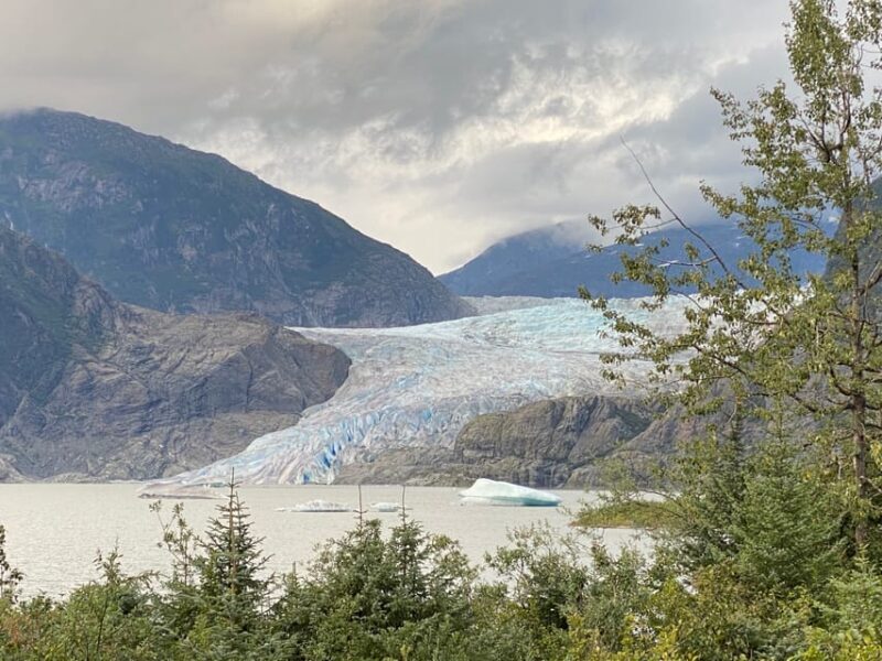 Juneau: Mendenhall Glacier and Whale Watching Tour - Practical Details and Tips