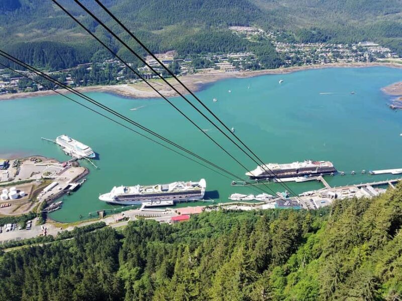 Juneau: Mount Roberts Tram Ride with App and Map - Summary and Who It’s Best For