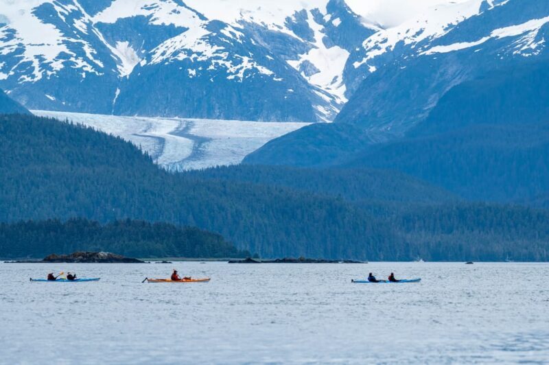 Juneau: Paddle with Whales Kayak Adventure - An Authentic Alaska Adventure: What to Expect