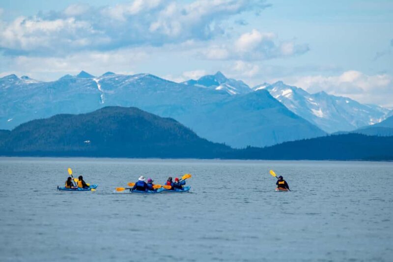 Juneau: Paddle with Whales Kayak Adventure - Authentic Experiences & Tips