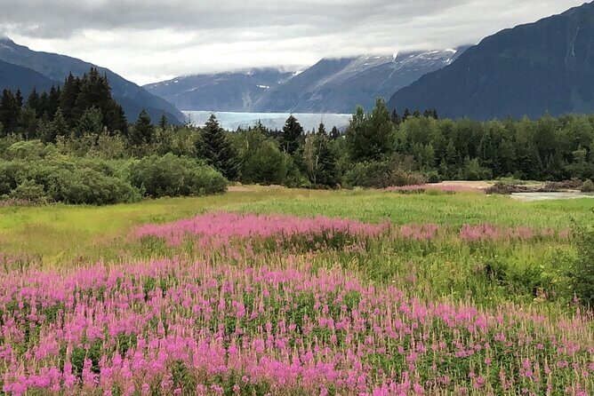 Juneau Private 3 Hour Scenic Road Trip - Practical Details and Considerations