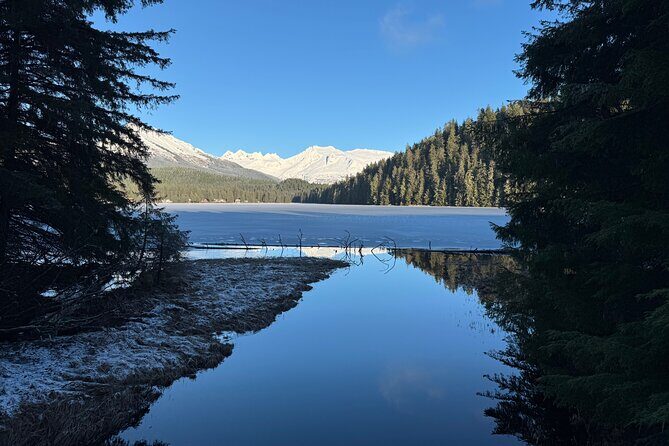 Juneau Private 3 Hour Sightseeing Tour with a Local - The Sum Up