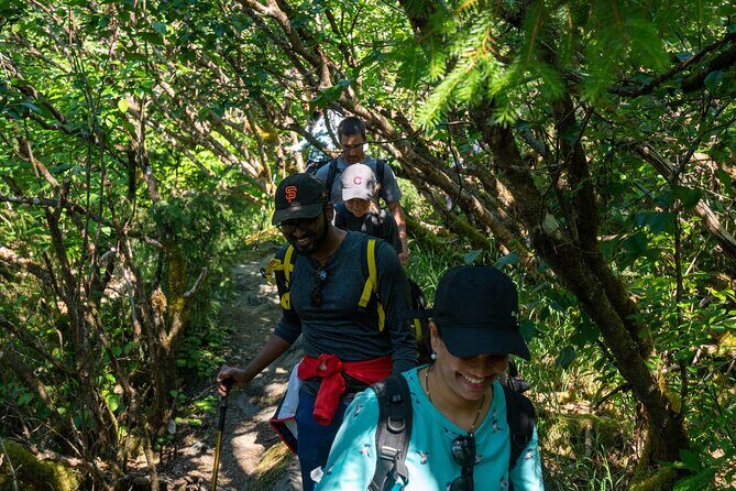 Juneau Shore Excursion: Mendenhall Glacier Guided Hike - An In-Depth Look at the Experience
