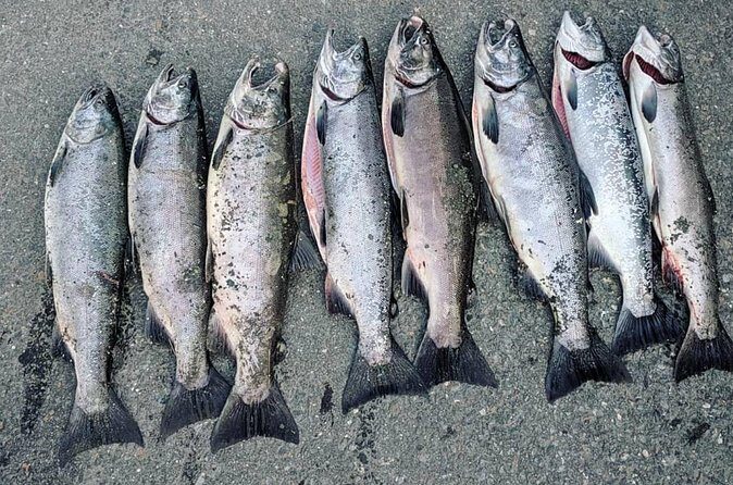 Juneau Shore Fishing Shuttle and Gear - FAQ