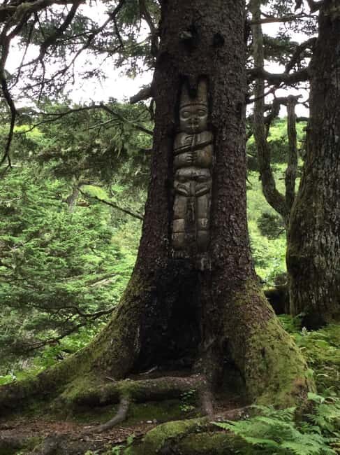 Juneau: Taste of Alaska Tour - Practical Tips for Travelers