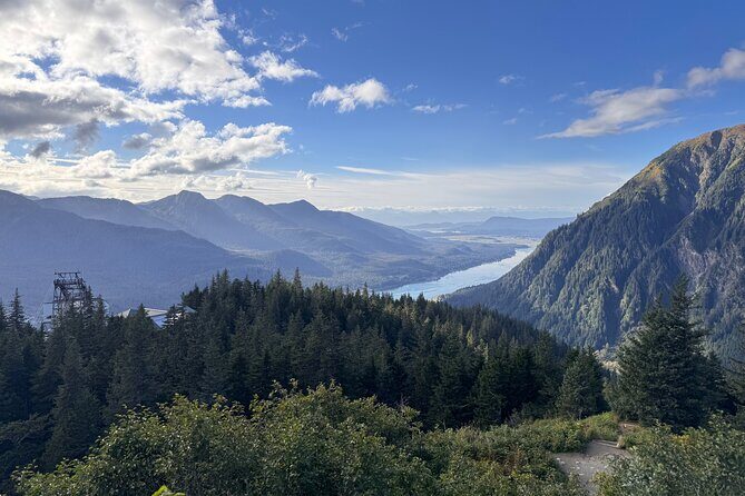 Juneau Top Sight Seeing Group Tour - Who Should Consider This Tour?