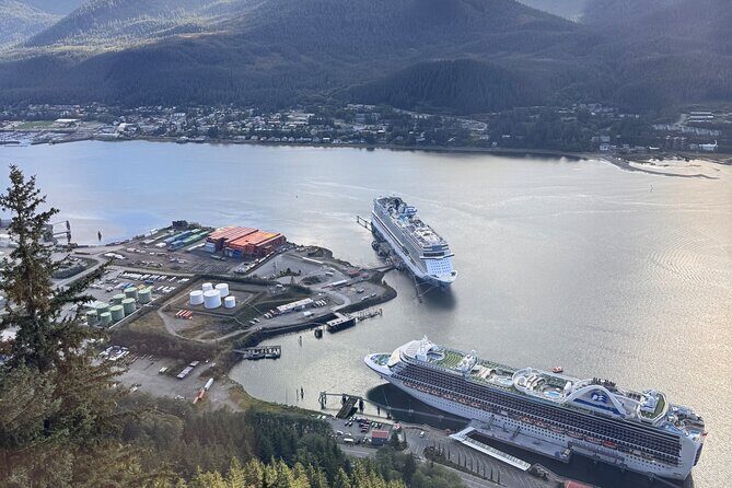Juneau Top Sight Seeing Private Tour - Who Will Love This Tour?
