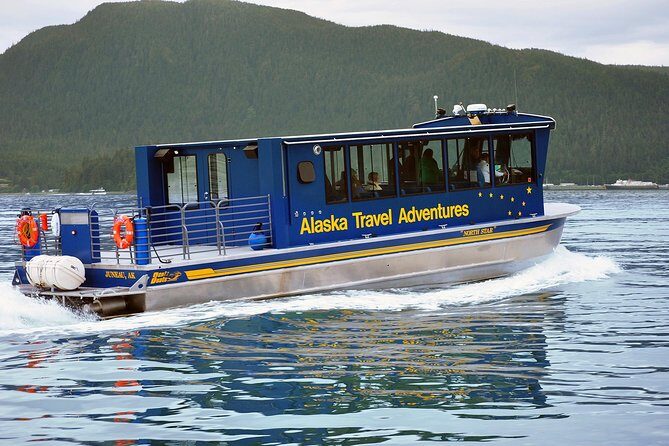 Juneau Whale Watching Adventure - Who Will Love This Tour?