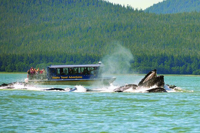 Juneau Whale Watching and Salmon Bake - FAQ