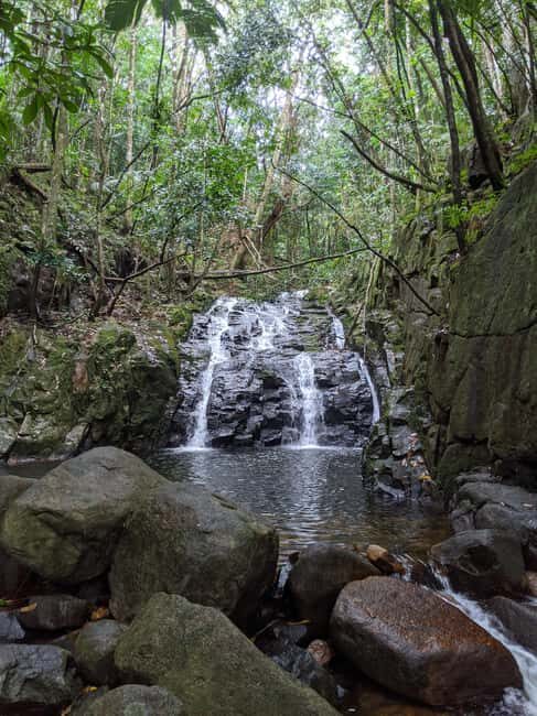 Jungle Adventure Hike:Climb, Waterfall, Discover Seychelles! - Key Points