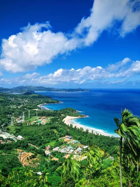 Jungle Adventure Hike:Climb, Waterfall, Discover Seychelles! - Why This Tour Is a Great Choice