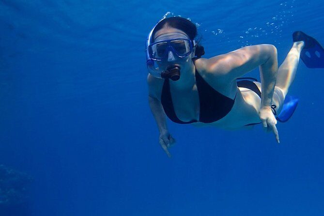 Jungle Adventure Tour! Speed boat and Snorkeling (Single) - Exploring the Jungle Adventure Tour in Cancun: A Practical Review