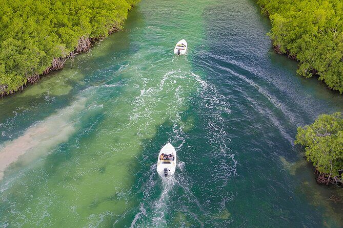 Jungle Adventure Tour! Speed boat and Snorkeling (Single) - A Detailed Look at the Jungle Adventure Tour