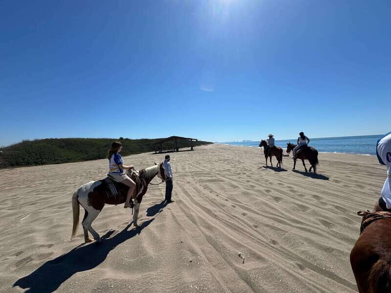 Jungle and beach horseback ride + lunch + mezcal - Key Points
