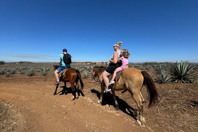 Jungle and Beach Horseback ride Tour in Pacific Coast - Key Points