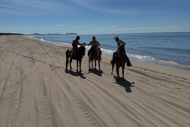Jungle and Beach Horseback ride Tour in Pacific Coast - A Deep Dive into the Experience