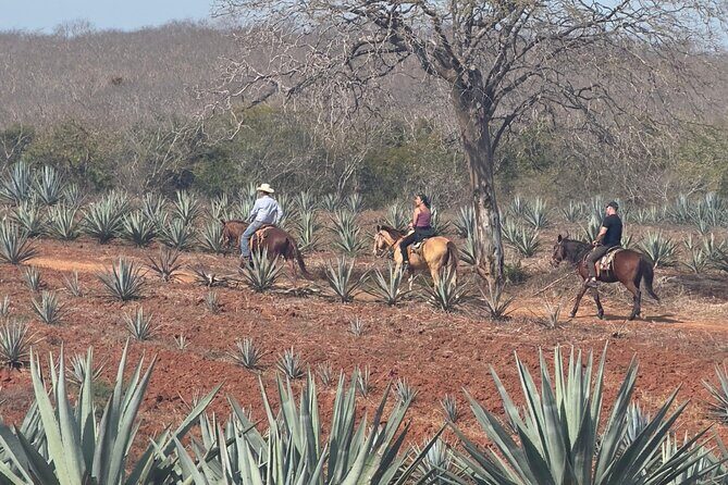 Jungle and Beach Horseback ride Tour in Pacific Coast - Frequently Asked Questions