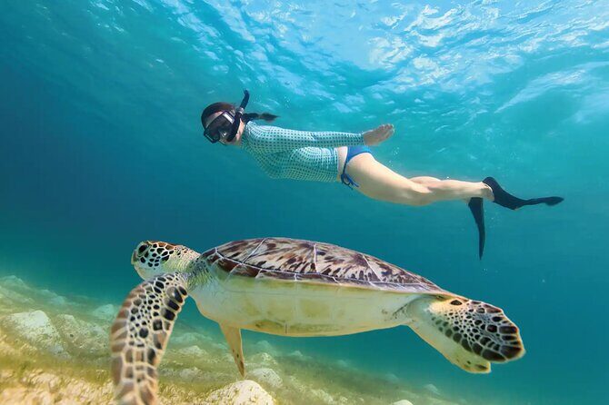 Jungle ATV, Cenote and Snorkel with Sea Turtles Adventure - Exploring the Jungle ATV, Cenote and Snorkel with Sea Turtles Adventure